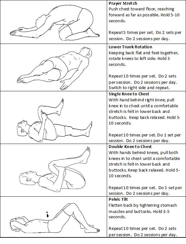 Back Spasm Exercises Physical Therapy Bozeman Belgrade Montana